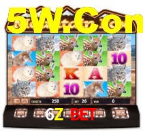 6Z Login